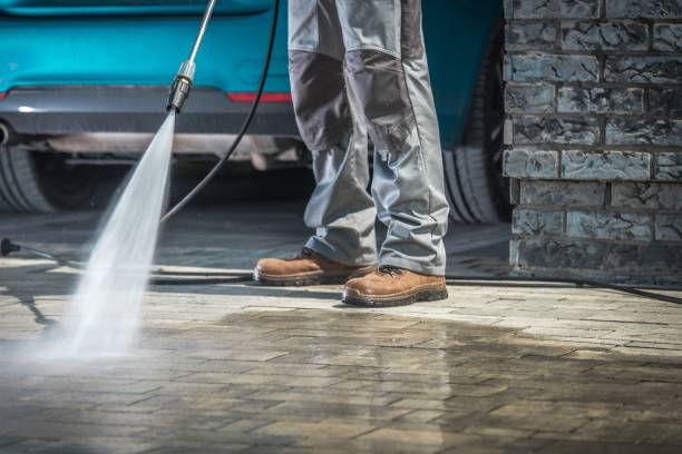 Best Roof Washing  in Canyon Day, AZ