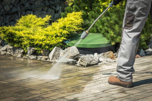 Best Animal Enclosure Cleaning  in Canyon Day, AZ